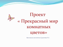 Презентация по окружающему миру  Прекрасный мир комнатных растений