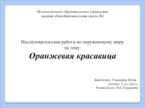 Презентация. Исследовательская работа по окружающему миру на тему Оранжевая красавица