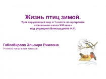 Презентация по окружающему миру Птицы зимой