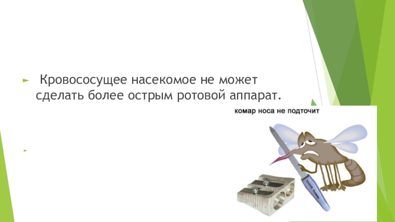 Более резче. Комар носа не подточит фразеологизм. Комар носа не. Носа не подточит. Поговорки на тему комар носа не подточит.