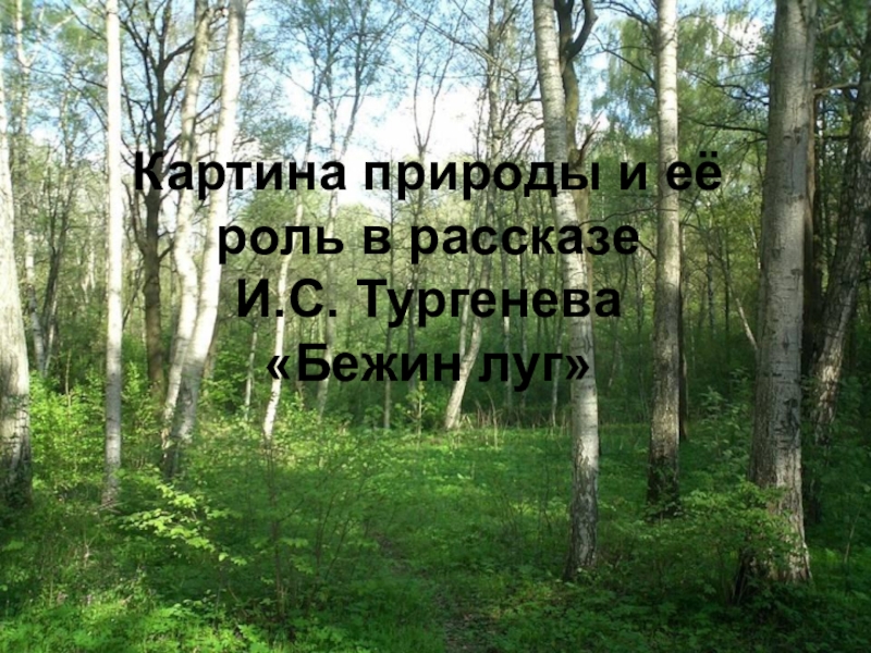 Картина природы и её роль в рассказе И.С.Тургенева Бежин луг. 6 класс презентация к уроку Картина природы и её роль в рассказе И.С. Тургенева «Бежин луг» Картина природы и её роль в рассказе И.С. Тургенева «Бежин луг»