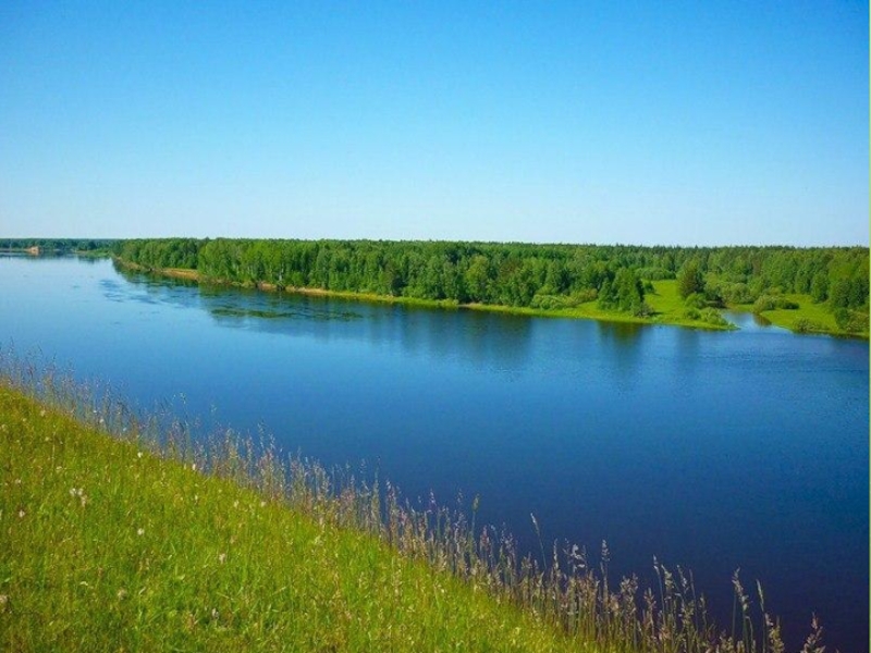 Картина природы и её роль в рассказе И.С.Тургенева Бежин луг. 6 класс презентация к уроку