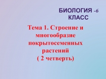 Презентация по биологии (6 класс ФГОС) к теме№1 Строение и многообразие покрытосеменных растений (2 четверть)