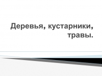 Презентация к уроку развития речи Деревья, кустарники и травы