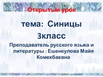 Презентация к уроку русского языка 3класс Синицы