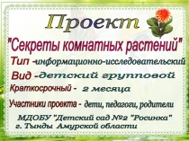 Проект Секреты комнатных растений