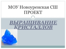 Выращивание кристаллов в домашних условиях(1 класс)