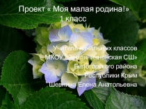 Презентация 1 класс проект Моя малая родина