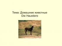 Презентация по немецкому языку на тему Домашние животные