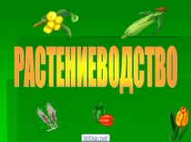 Презентация по окружающему миру  Растеневодство