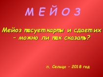 Презентация по биологии на тему Мейоз