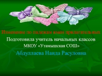 Презентация урока на тему: Изменение по падежам имен прилагательных