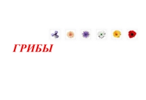 Презентация по познанию мира Грибы