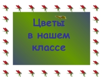 ПРезентация Цветы в нашем классе