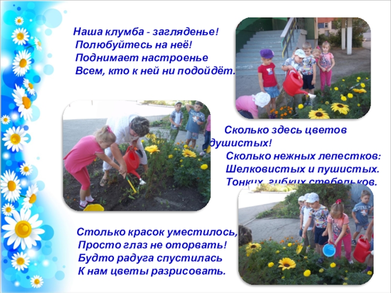 Презентация Летний оздоровительный период Наша клумба - загляденье! Полюбуйтесь на неё! Наша клумба - загляденье! Полюбуйтесь на неё!