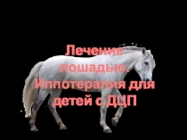 Лечение лошадьми, детей с ОВЗ