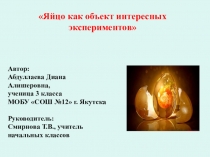 Презентация Яйцо как объект интересных экспериментов