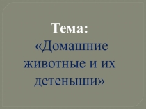 Презентация Домашние животные и их детёныши
