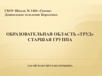 Образовательная область ТРУД Старший дошкольный возраст.