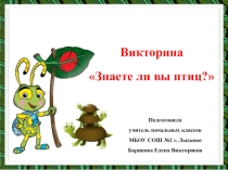 Викторина Знаете ли вы птиц? (1-4 класс)