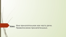 Имя прилагательное 10 класс