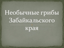 Презентация по теме Грибы (Зелёный мир Читинской области) 6 класс