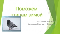 Презентация по акции Покорми птиц зимой