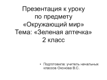 Презентация к уроку Окружающий мир на тему Растения в нашей аптечке (2 класс)