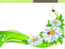 Презентация группы на тему Ромашка