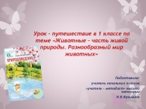Презентация по предмету Окружающий мир на тему Животные - часть природы (1 класс)