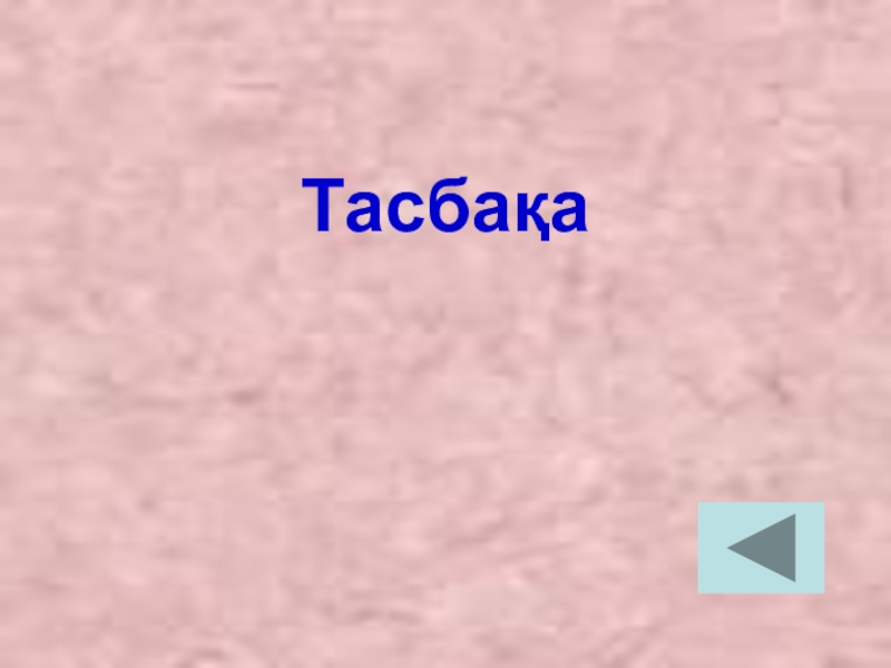 Презентация по казахскому языку Антонимы Тасбақа Тасбақа