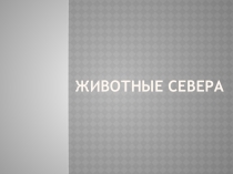Презентация по теме недели Животные севера