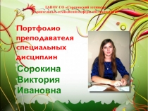 Цифровое портфолио Сорокина В.И