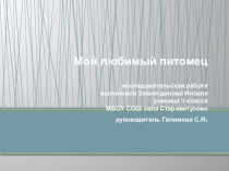 Презентация по окружающему миру Мой любимый питомец