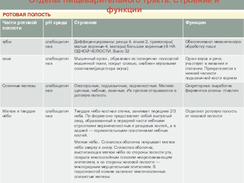 Функции полости. Пищеварение в ротовой полости 8 класс таблица. Отделы ротовой полости таблица. Таблица строение пищеварительной системы отдел/ строение/ функции. Таблица по биологии функции органов пищеварения.