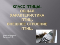 Презентация по биологии 7 класс Общая характеристика птиц. Внешнее строение птиц
