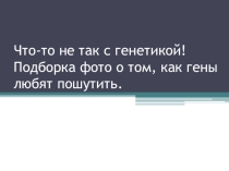 Презентация по биологии  ШЕДЕВРЫ ГЕНЕТИКИ