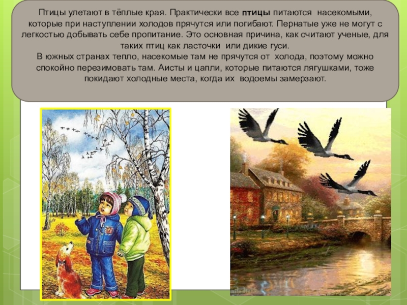 Презентация по ознакомлению с окружающим миром Детям об осени Птицы улетают в тёплые края. Практически все птицы питаются насекомыми, которые Птицы улетают в тёплые края. Практически все птицы питаются насекомыми, которые при наступлении холодов прячутся или погибают.