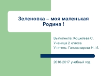 Презентация по окружающему миру на тему  Зеленовка - моя малая Родина ученицы Кошелевой С.
