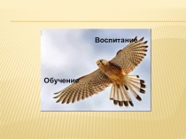 Презентация к уроку Учись учиться по этике