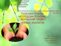 Презентация по проекту : Юные Экологи