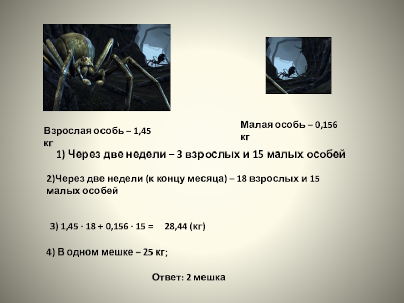 Презентация по математике на тему Умножение десятичных дробей 5 класс Взрослая особь – 1,45 кгМалая особь – 0,156 кг1) Через две Взрослая особь – 1,45 кгМалая особь – 0,156 кг1) Через две недели – 3 взрослых и 15