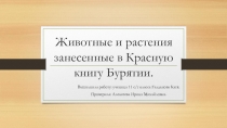 Презентация Животные и растения Байкальского региона, занесенные в Красную книгу