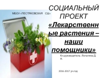 Социальный проект Лекарственные растения - наши помощники