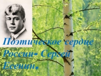 Презентация по литературе на тему Поэтическое сердце России - Сергей Есенин (11 класс)