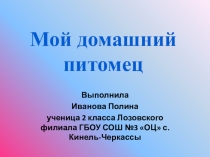 Презентация исследовательской работы Мой домашний питомец