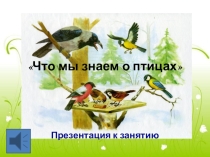 Что мы знаем о птицах? в старшей группе