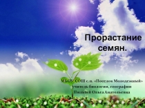 Презентация по биологии Условия прорастания семян (6 класс)