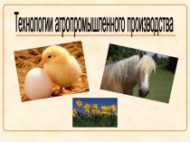 Презентация к уроку технологии