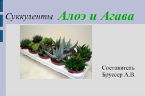 Презентация по биологии Суккуленты. Алоэ и агава